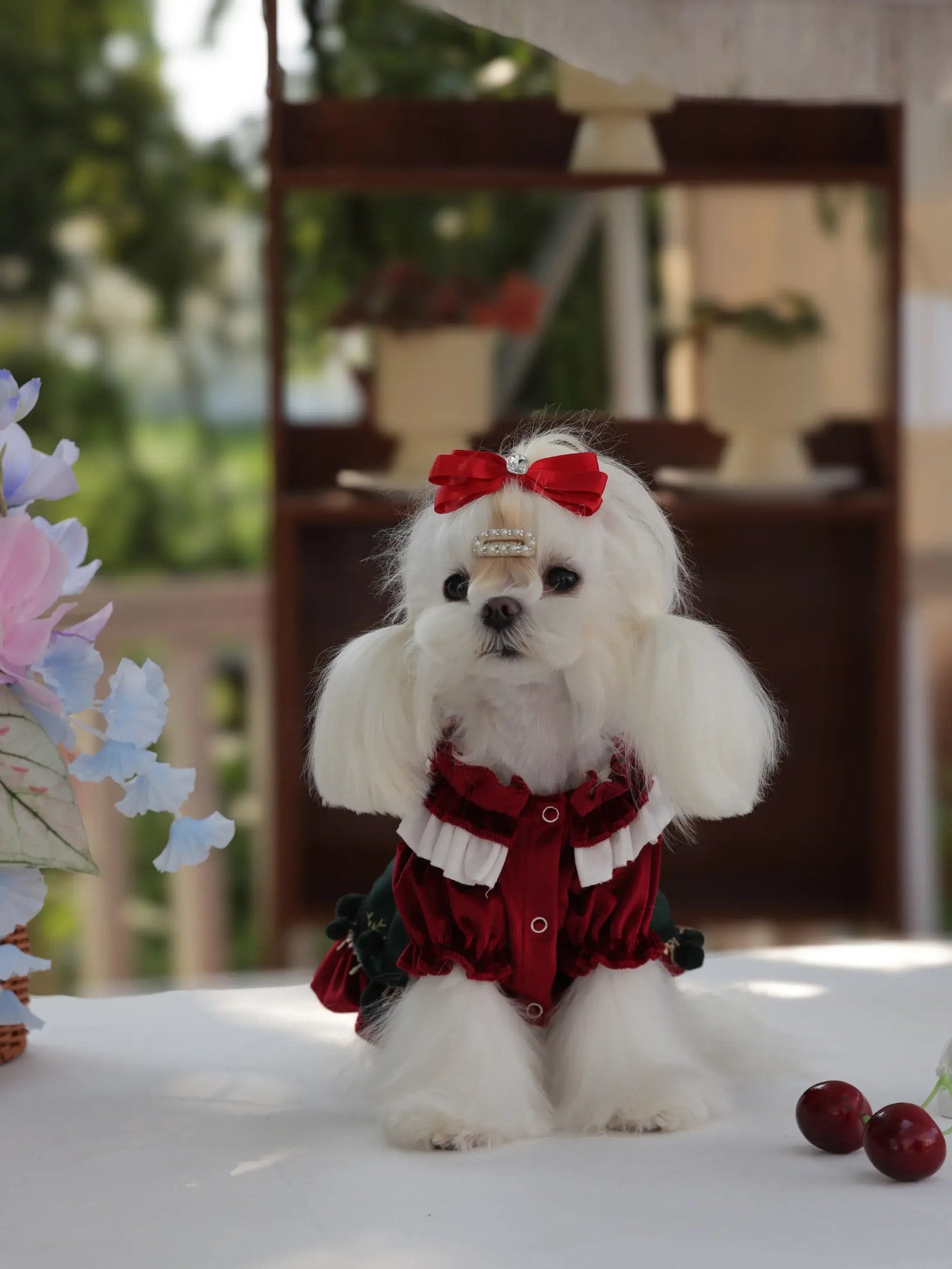 Velvet Christmas Princess Dog Romper - Anti-Shedding Dress for Small Puppies