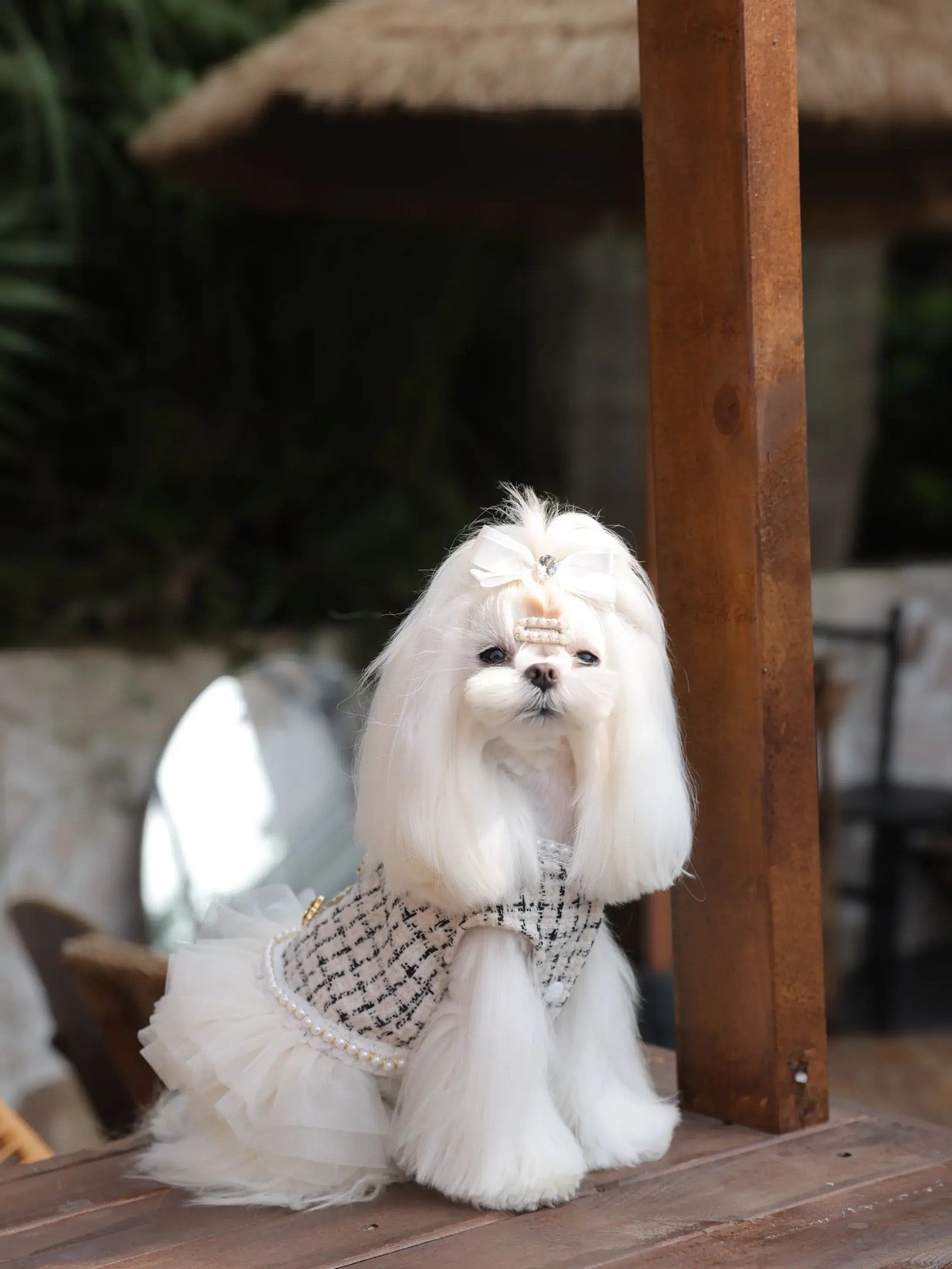 Chiclet Princess Dress – Elegant Tweed Dog Dress for Small Dogs