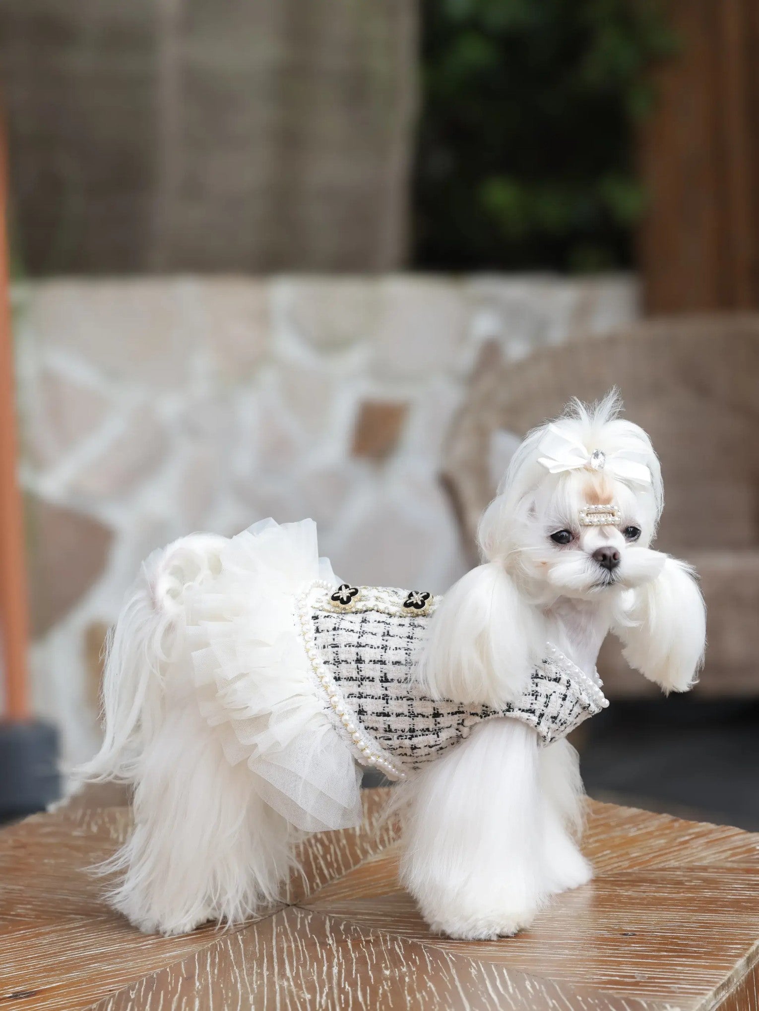 Chiclet Princess Dress – Elegant Tweed Dog Dress for Small Dogs