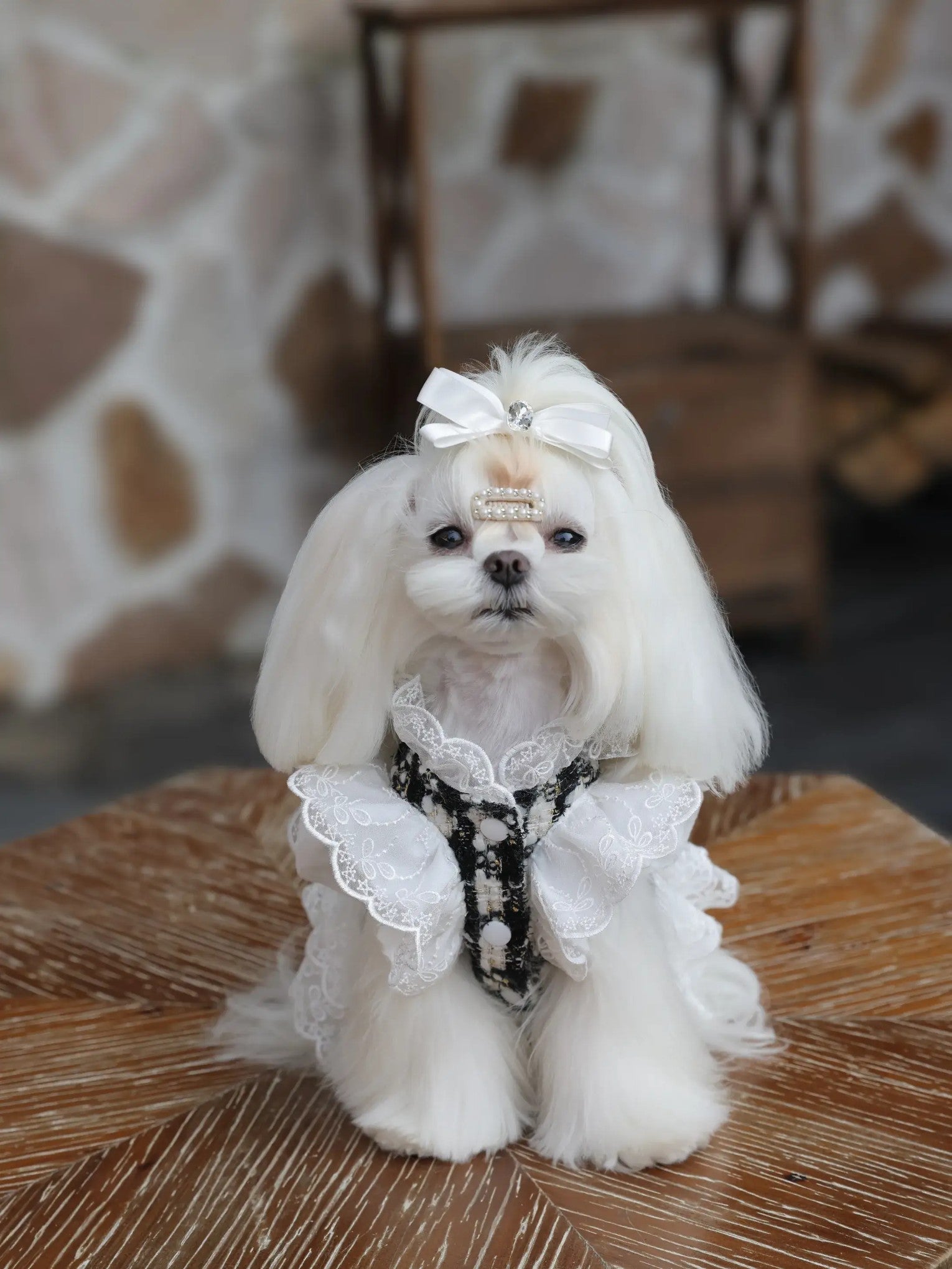 Noir Lace Dress – Elegant Tweed-Style Black Dog Dress with Lace for Small Dogs