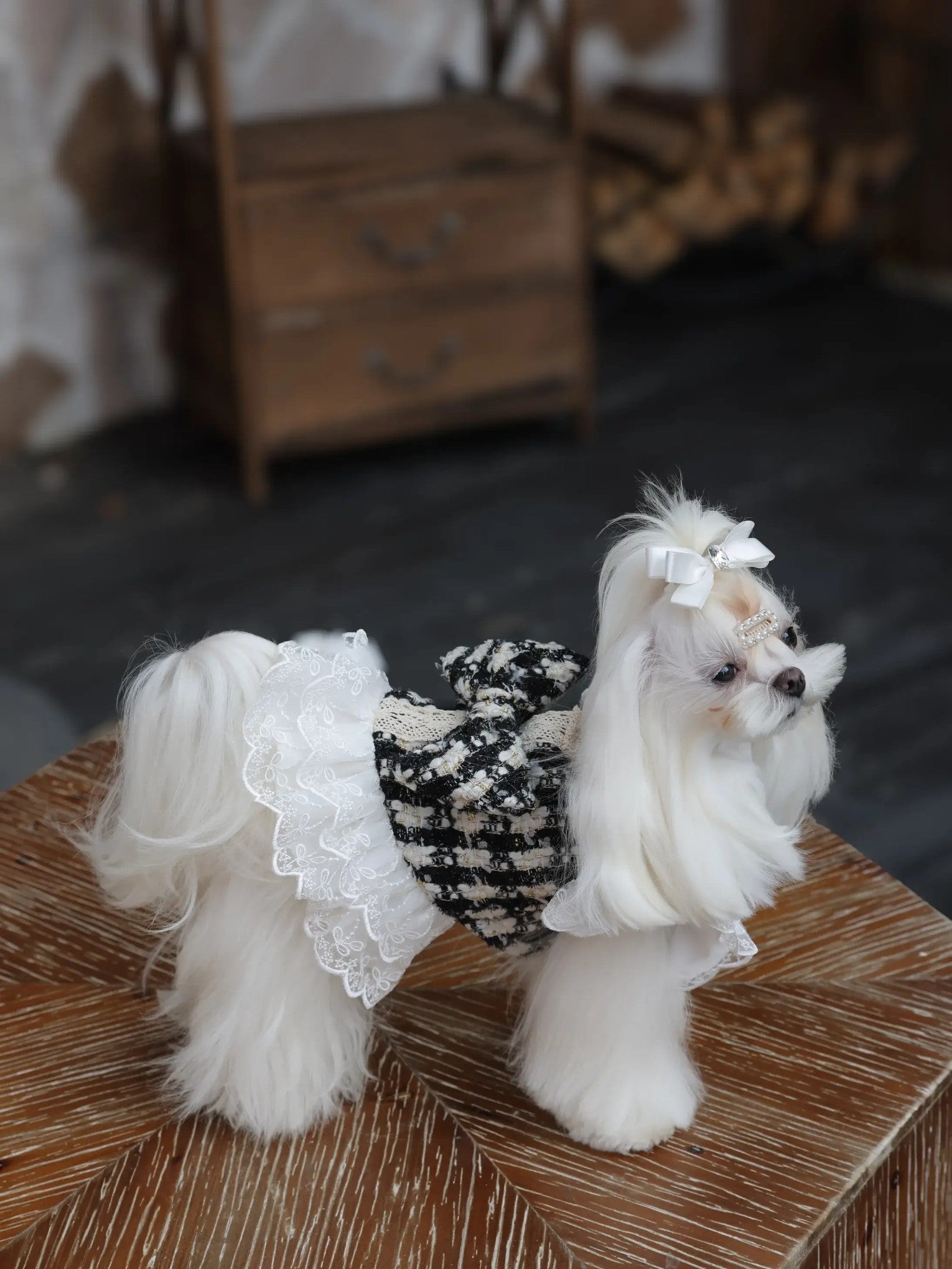 Noir Lace Dress – Elegant Tweed-Style Black Dog Dress with Lace for Small Dogs