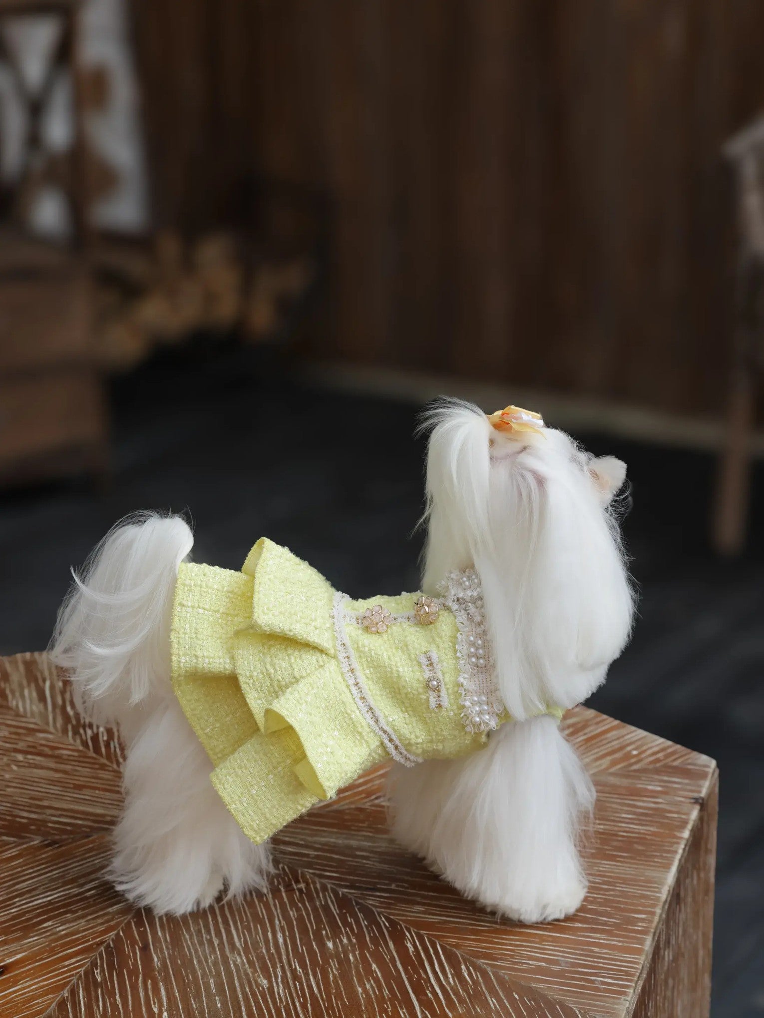 Bijou Chic Dress – Warm Princess Dog Dress for Small Maltese & Poodles, Yellow