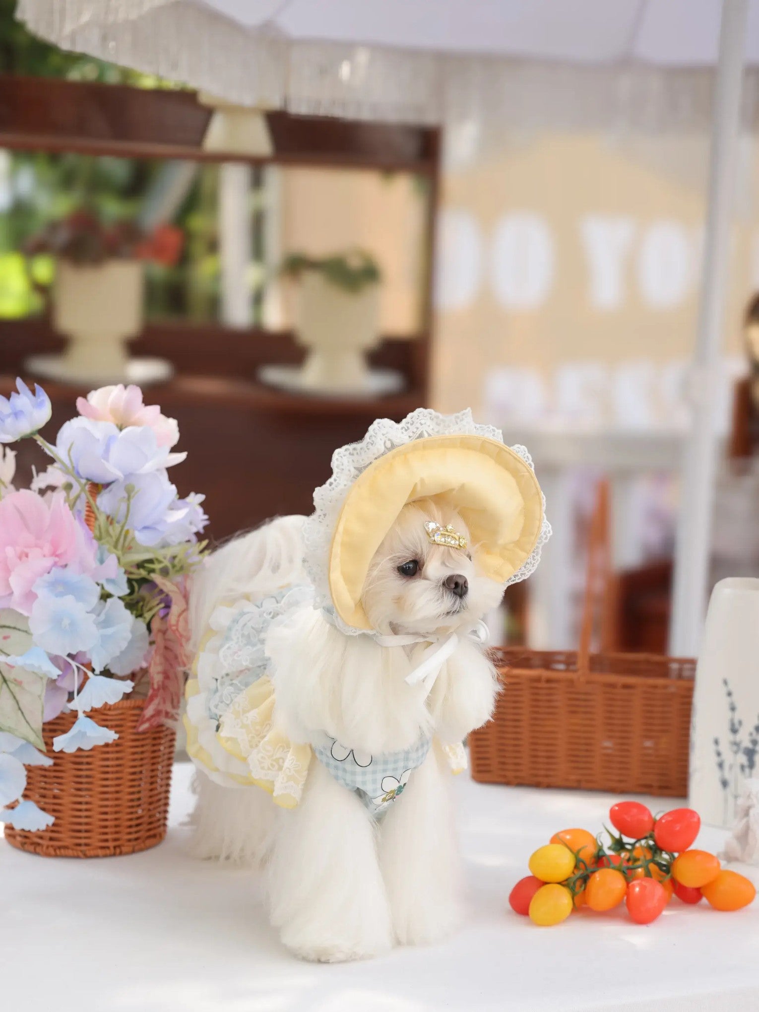 Aurora Peach Dress – Embroidered Lolita Dog Skirt in Spring Peach for Small Dogs