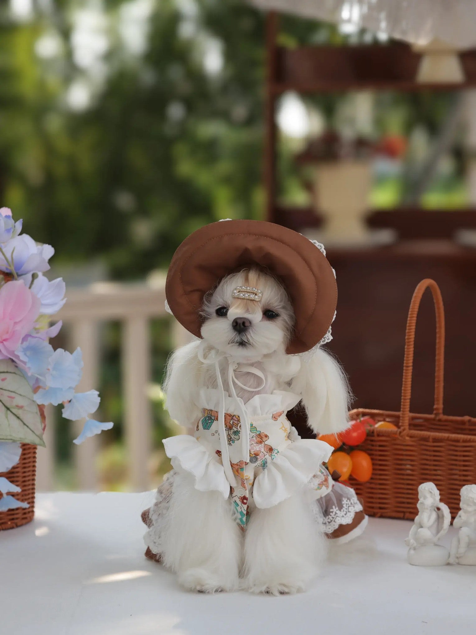 Chérie Puff Dress – Creamy Lolita Dog Princess Dress in Coffee Brown for Small Dogs