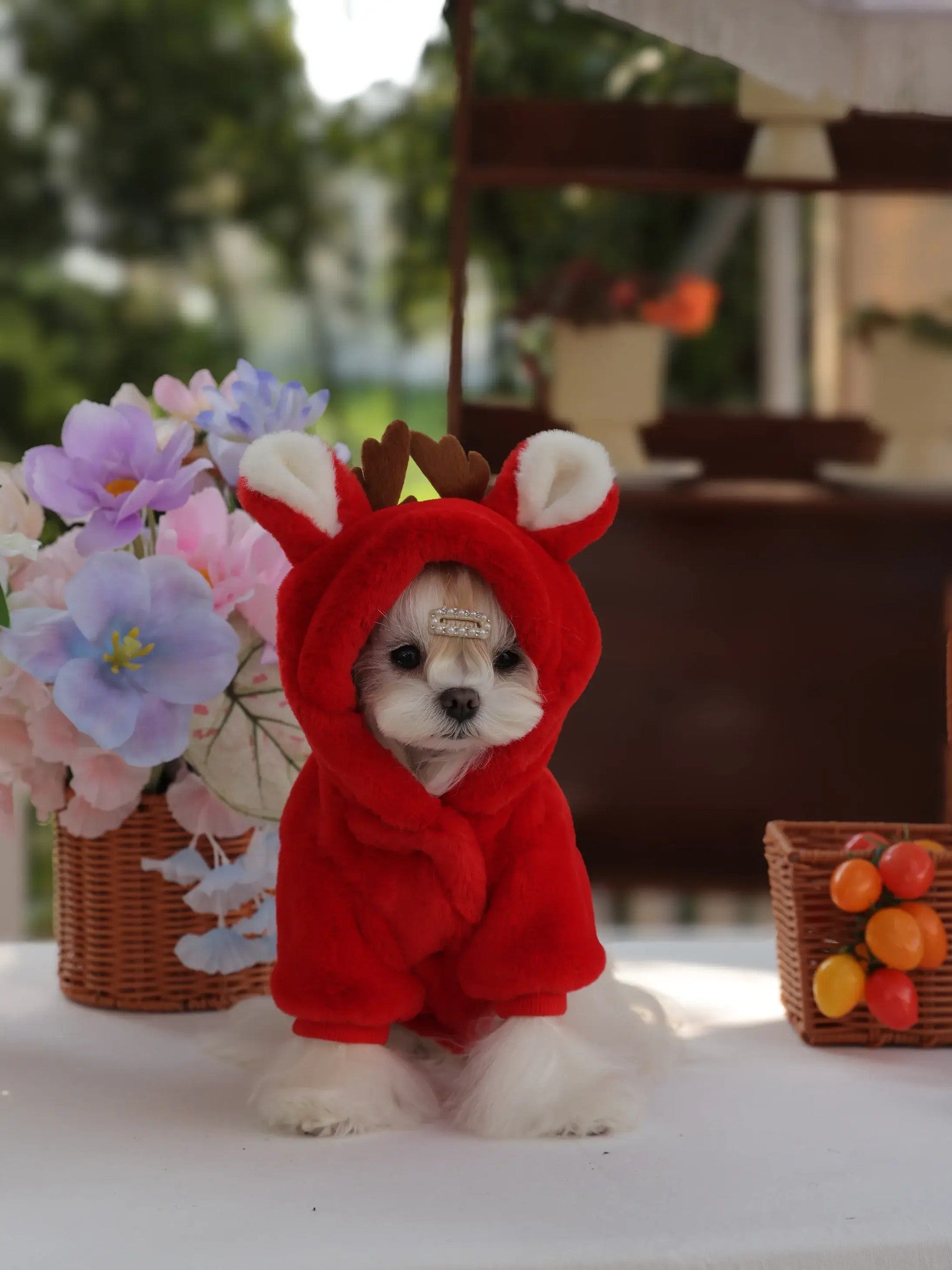 Korean Japanese Style Christmas Dog Coat - Red Warm Fleece Jacket for Small Puppies